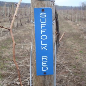 Vineyard Markers
