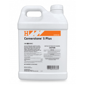 Cornerstone® 5 Plus